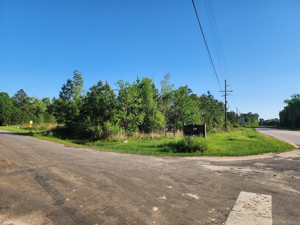 Picture 24