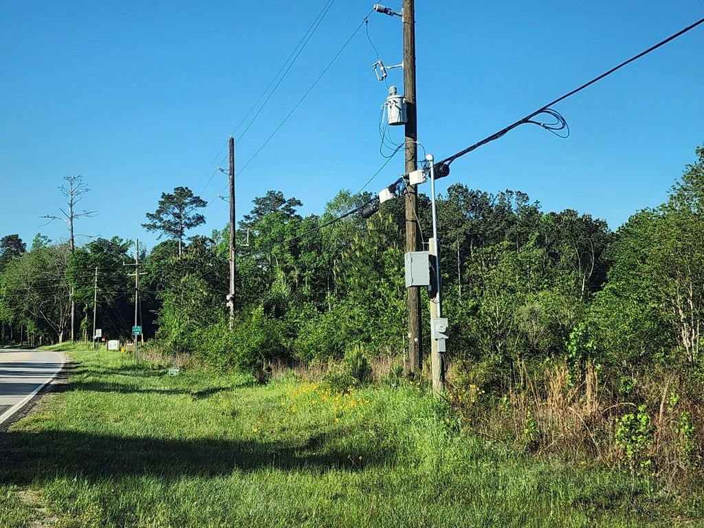Picture 7