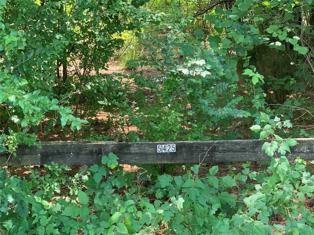 Picture 4
