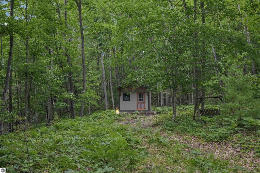 Picture 8