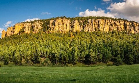 Land with Creek Frontage