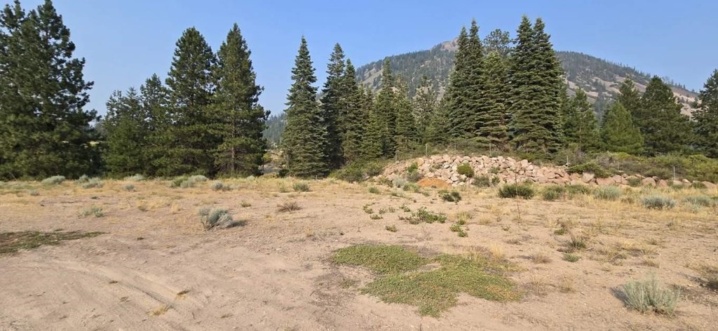 Picture 11