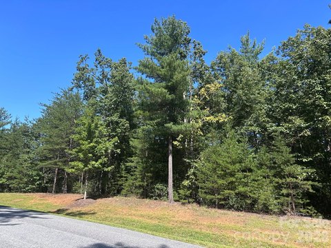 Land, Nebo, NC