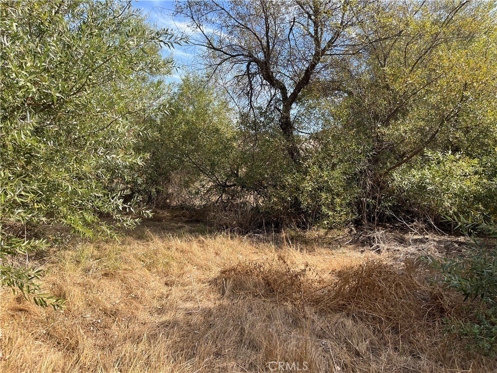 Picture 19