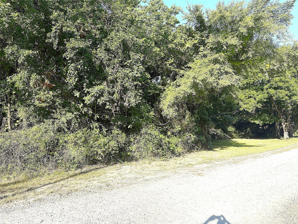 Picture 9