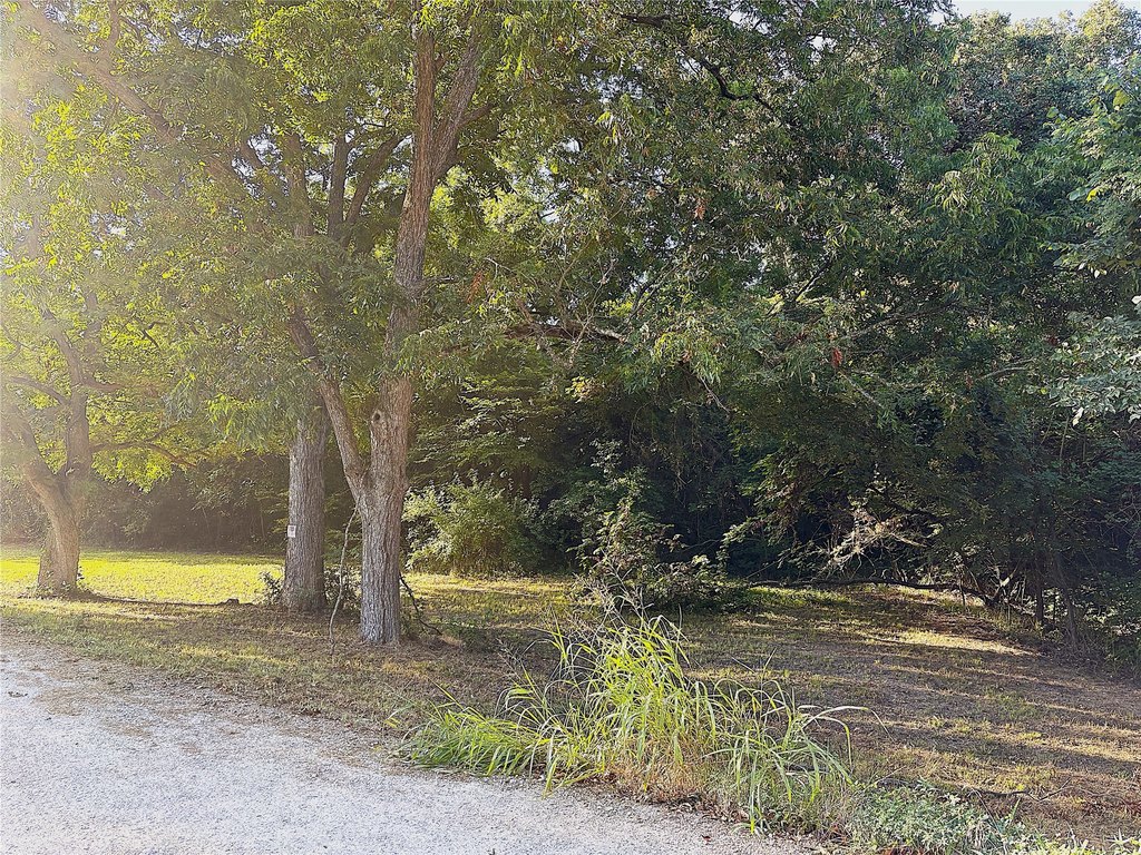Picture 4