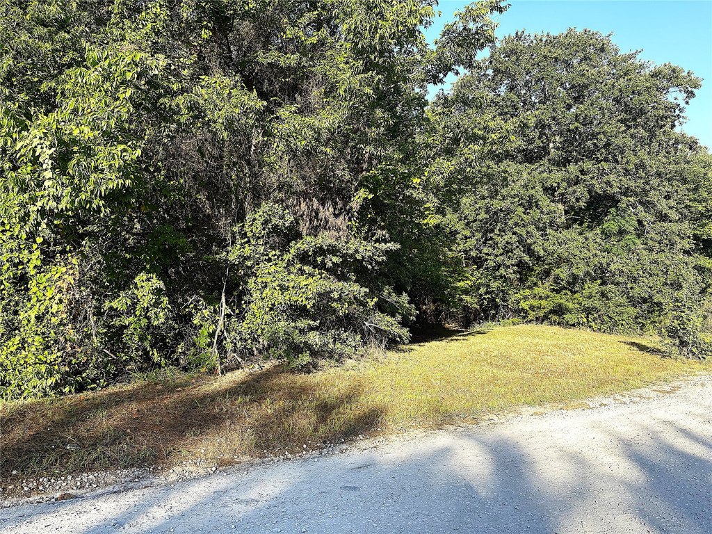 Picture 5