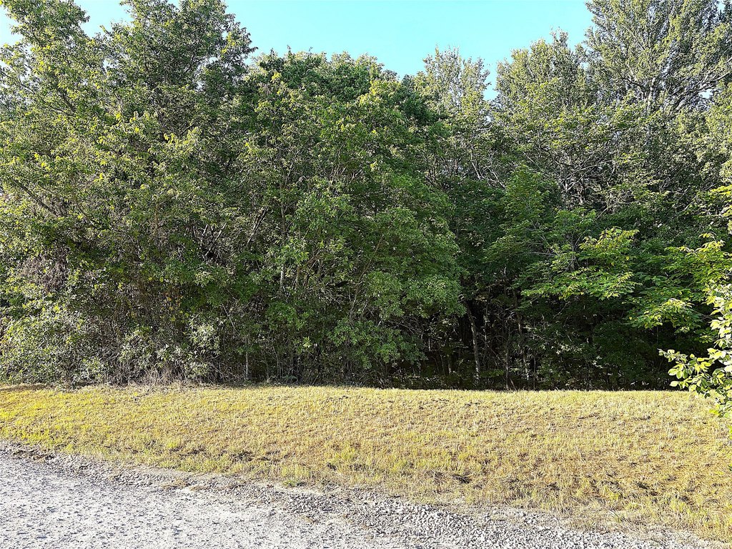 Picture 8