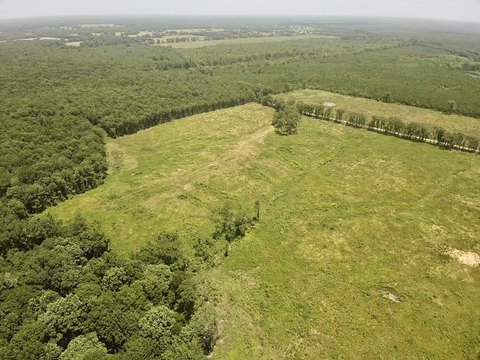 Recreation Land Tract with Timber