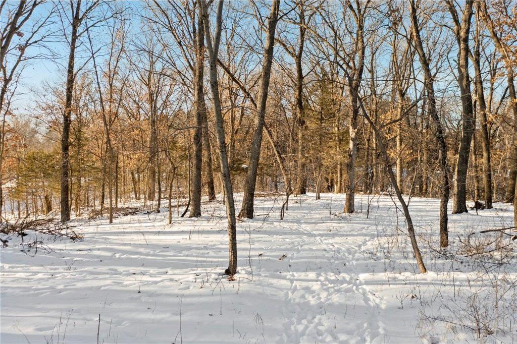 Picture 36