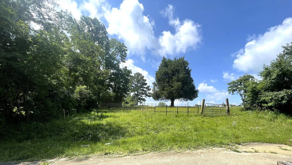 Picture 12