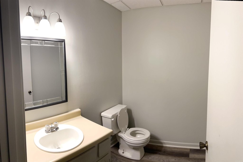 Picture 11