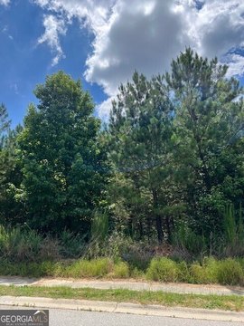 Residential Land in Flowery Branch