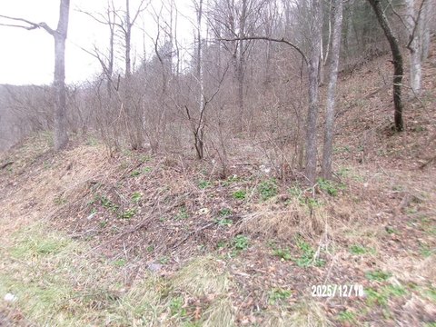 Land Centrally Located For ATV