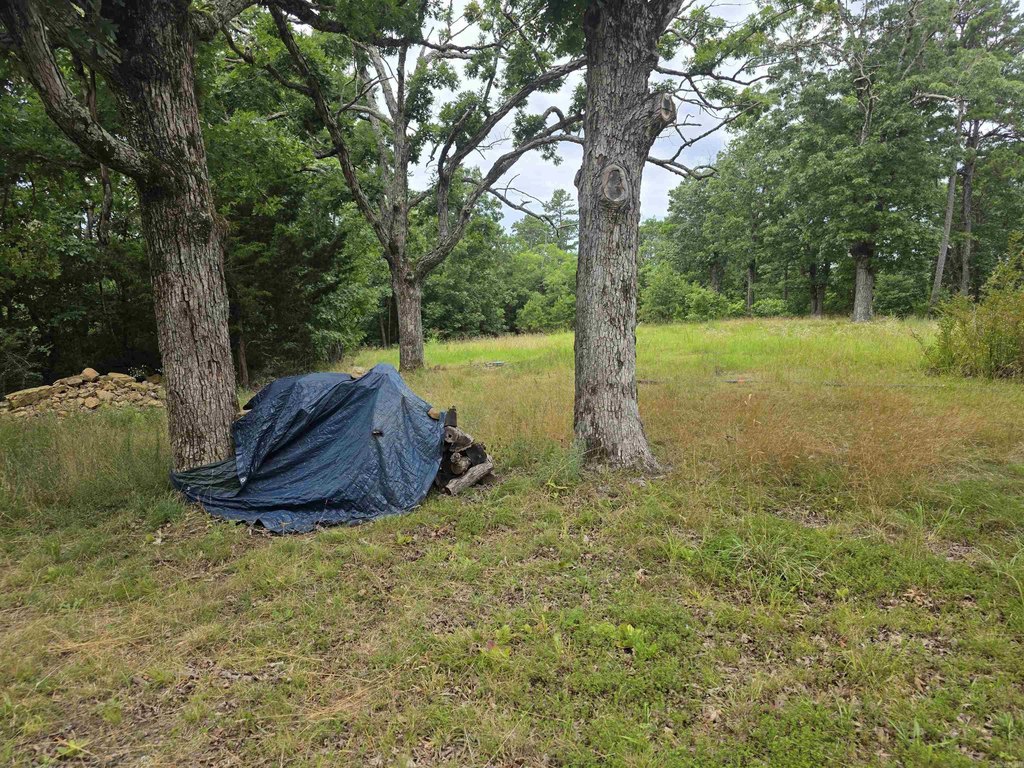 Picture 22