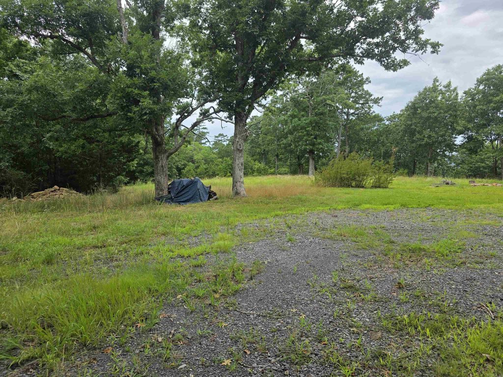 Picture 44