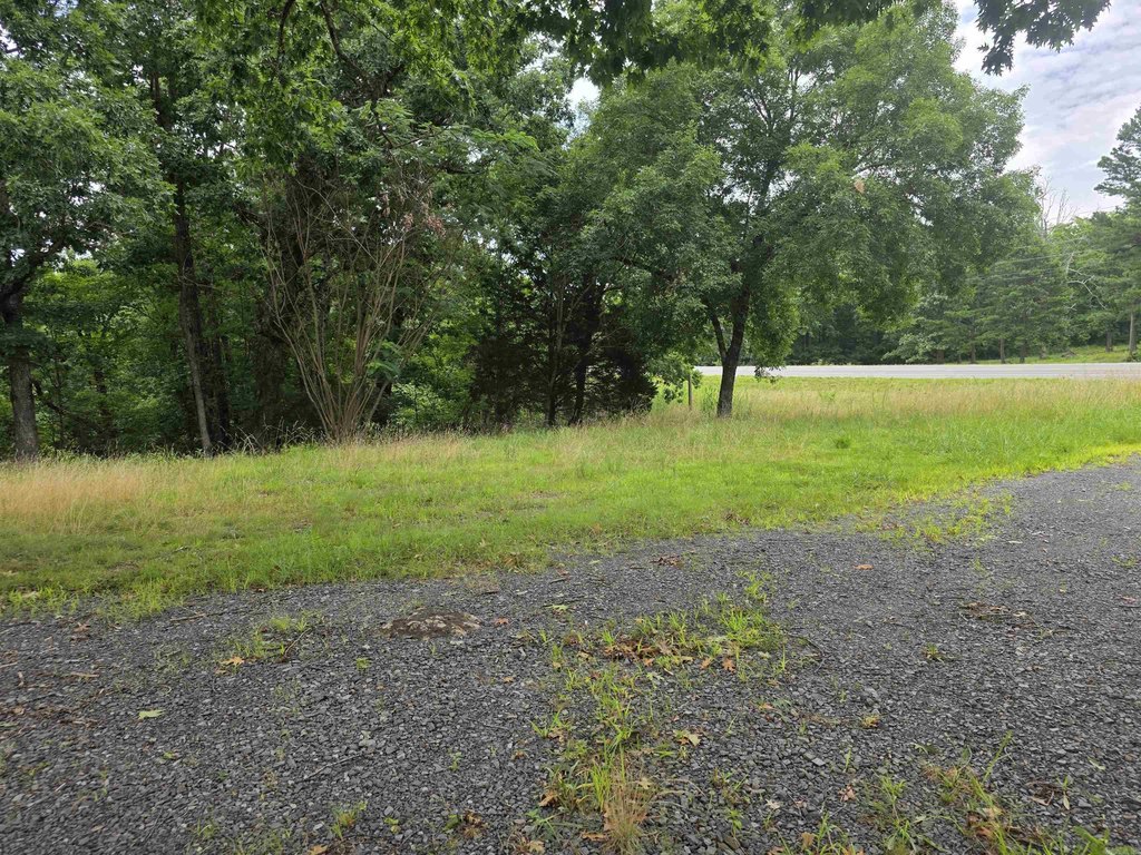 Picture 31