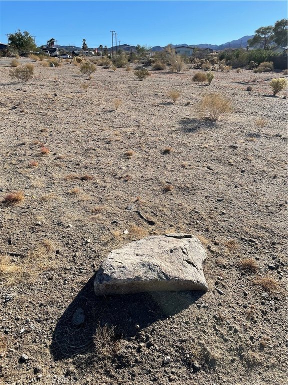Picture 3