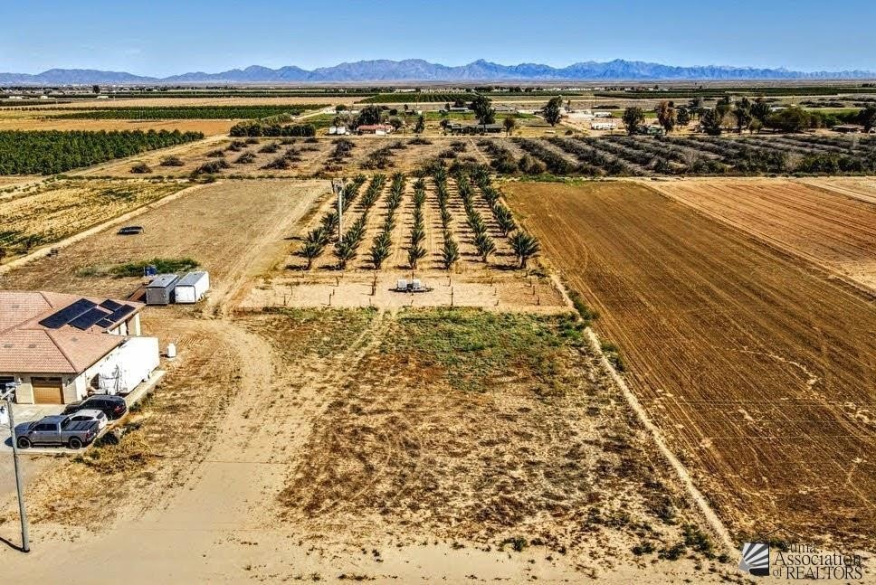 Yuma Residential Date Palm Property