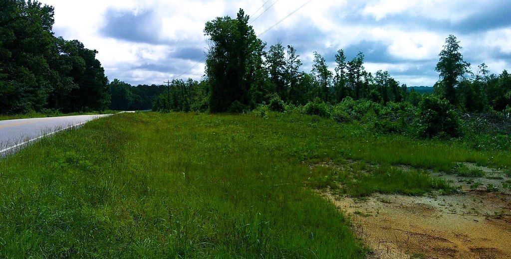 Picture 9