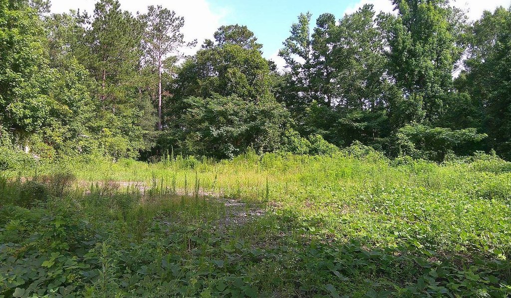 Picture 13