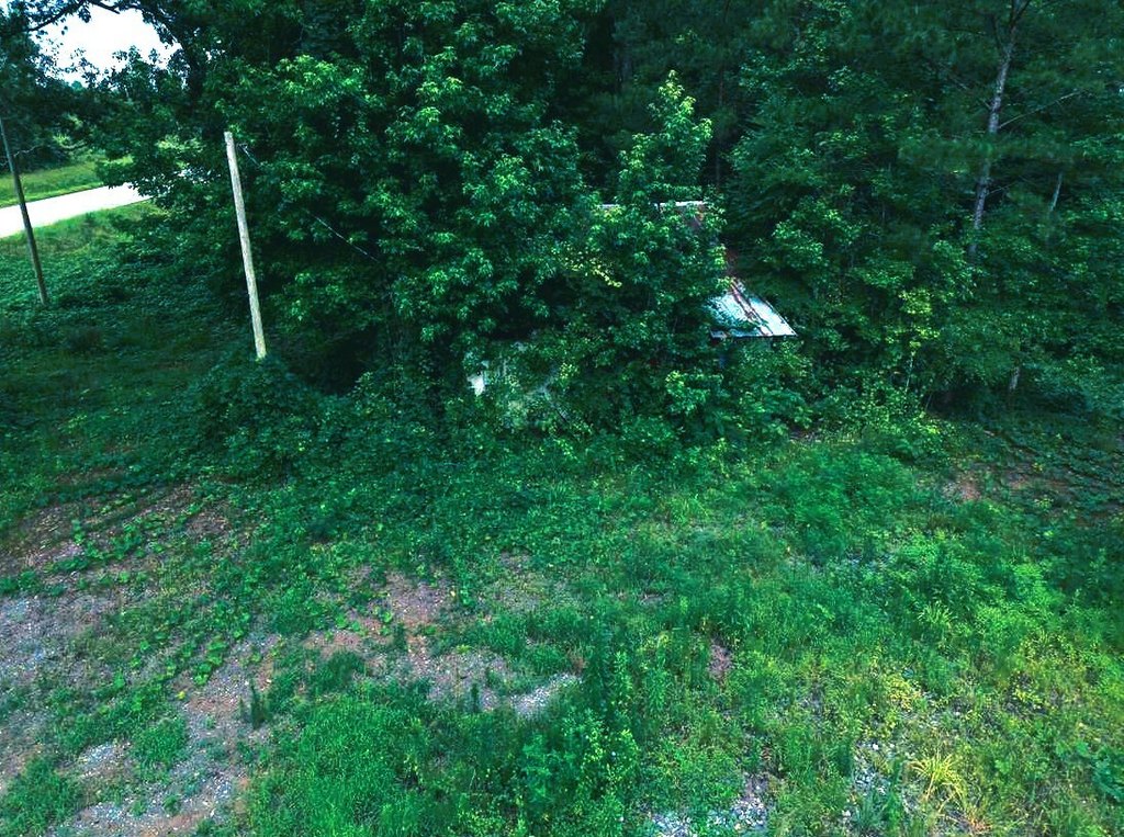 Picture 28