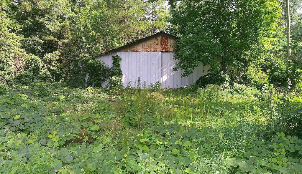 Picture 14