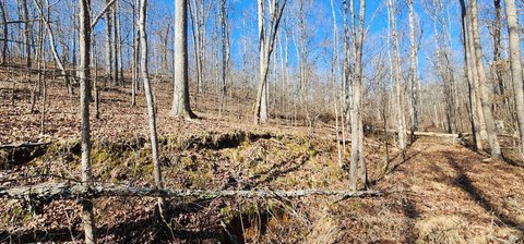 Unrestricted Land in Holladay, TN