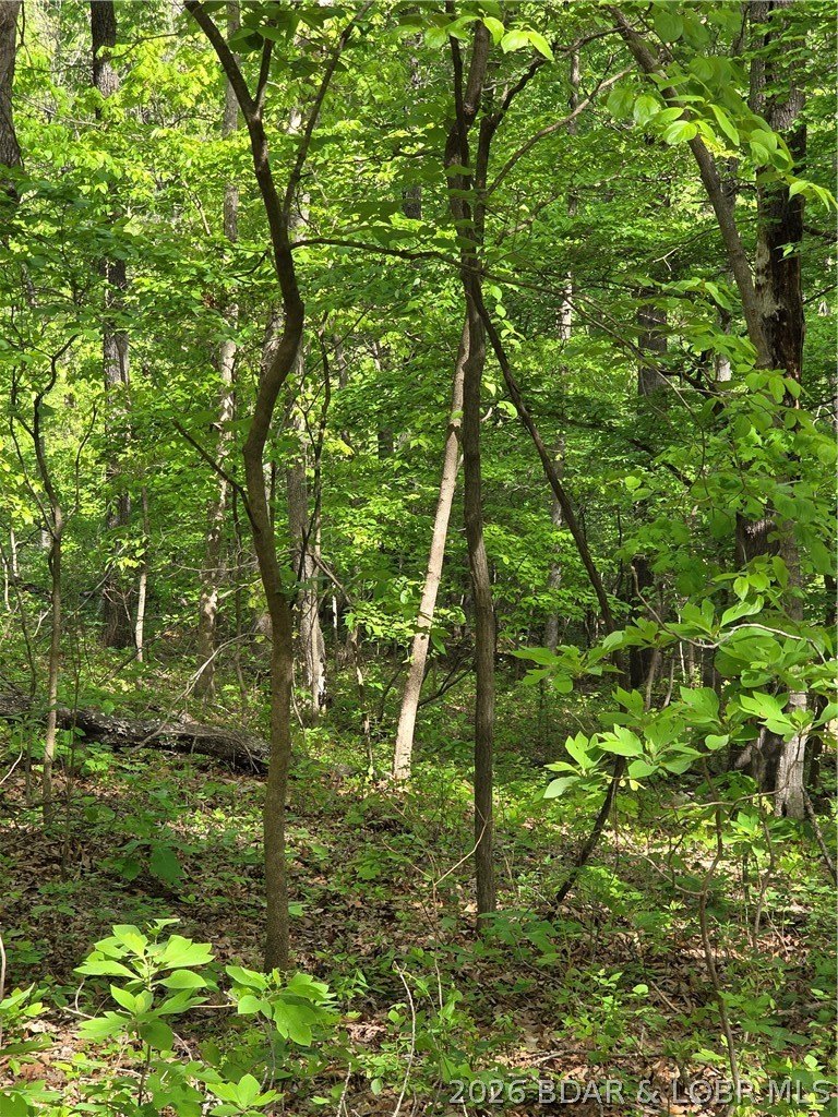 Land Near Lake of Ozarks