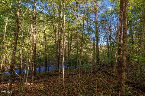 Mountainous Forest Land