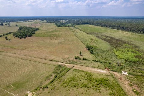 Lots/Land, Poplarville, MS