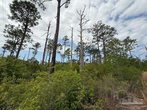 Land, Milton, FL