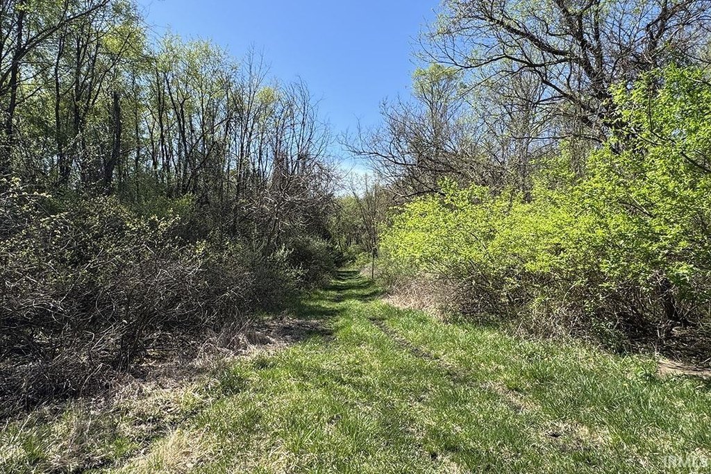 Picture 25