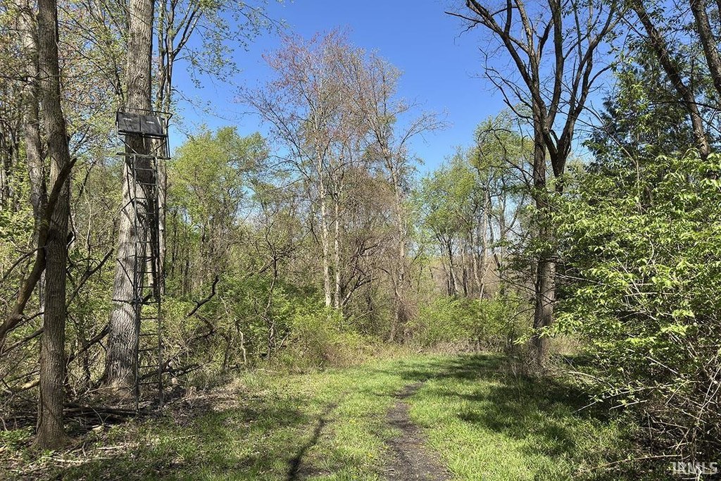 Picture 26