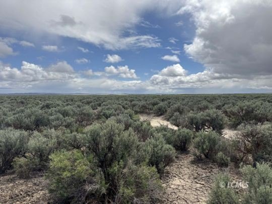 40 Acres Near Lost Forest