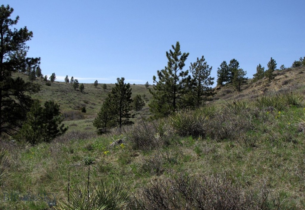 Picture 24