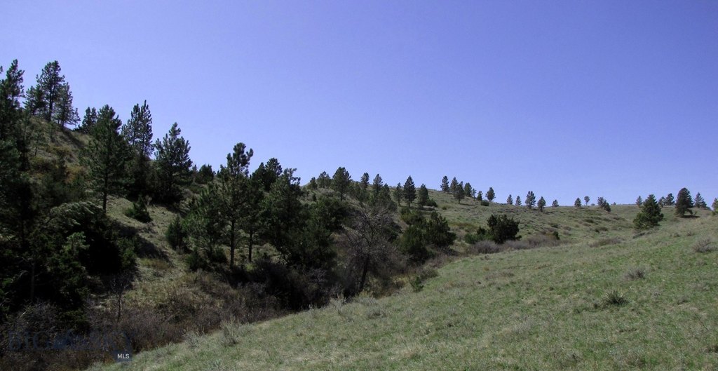 Picture 42