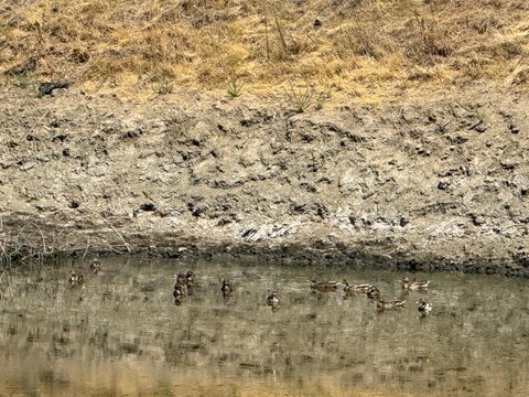 160 Acres Land in San Jose