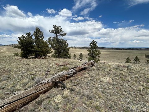 Land, Hartsel, CO