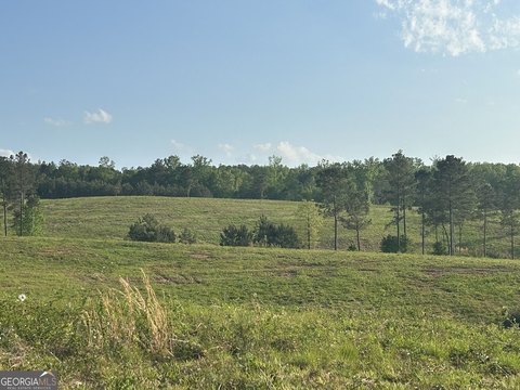 345 Acres South Carroll County Land