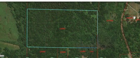 35 Acres of Unimproved Land