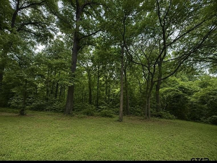 Picture 9