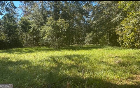 Cleared Lot in Jesup, GA