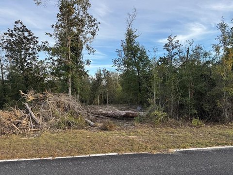 Wooded Lot in Kinard, Florida