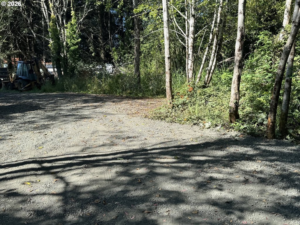 Picture 14