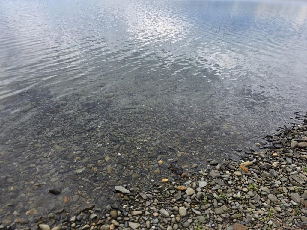 Picture 2