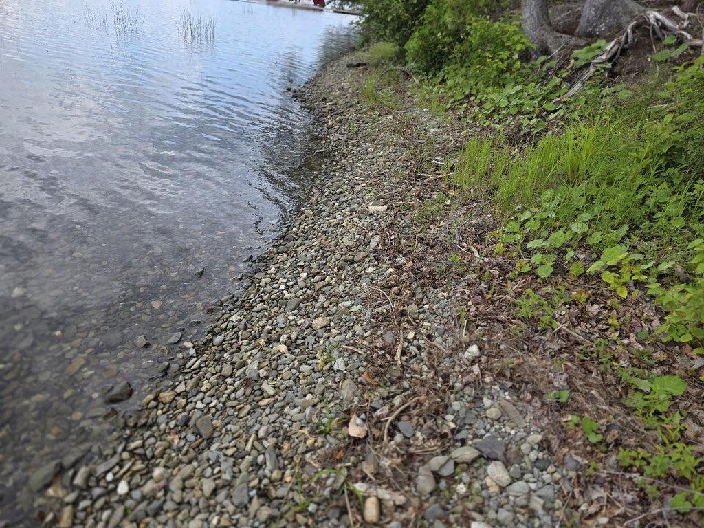 Picture 7