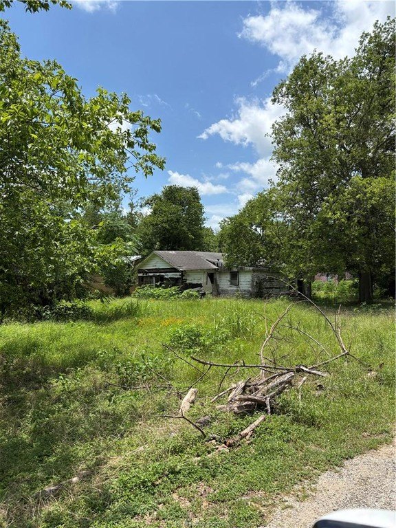 Picture 6