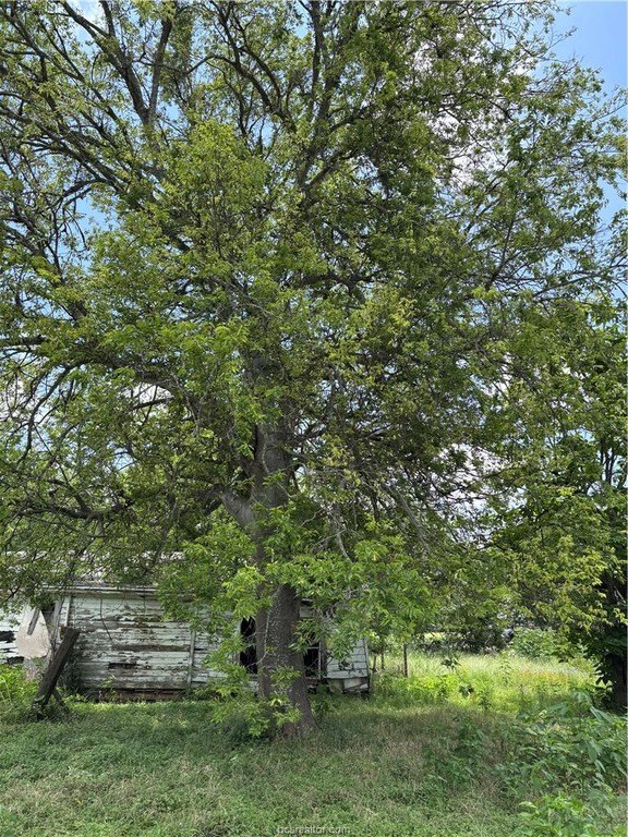 Picture 5