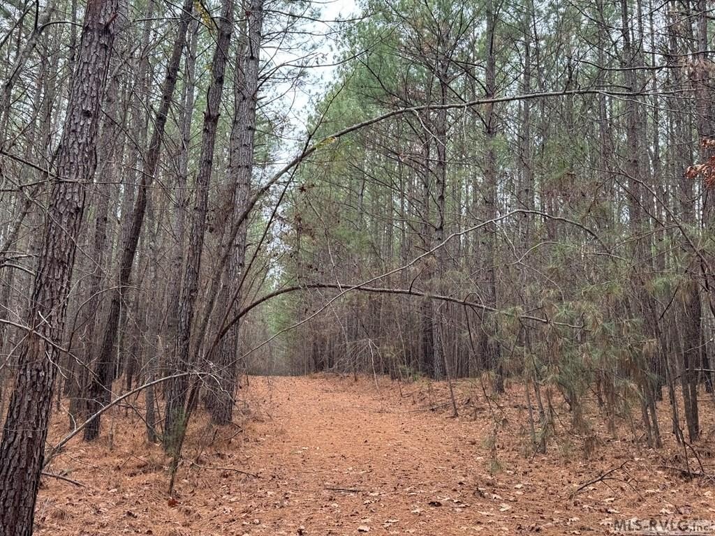 Picture 14